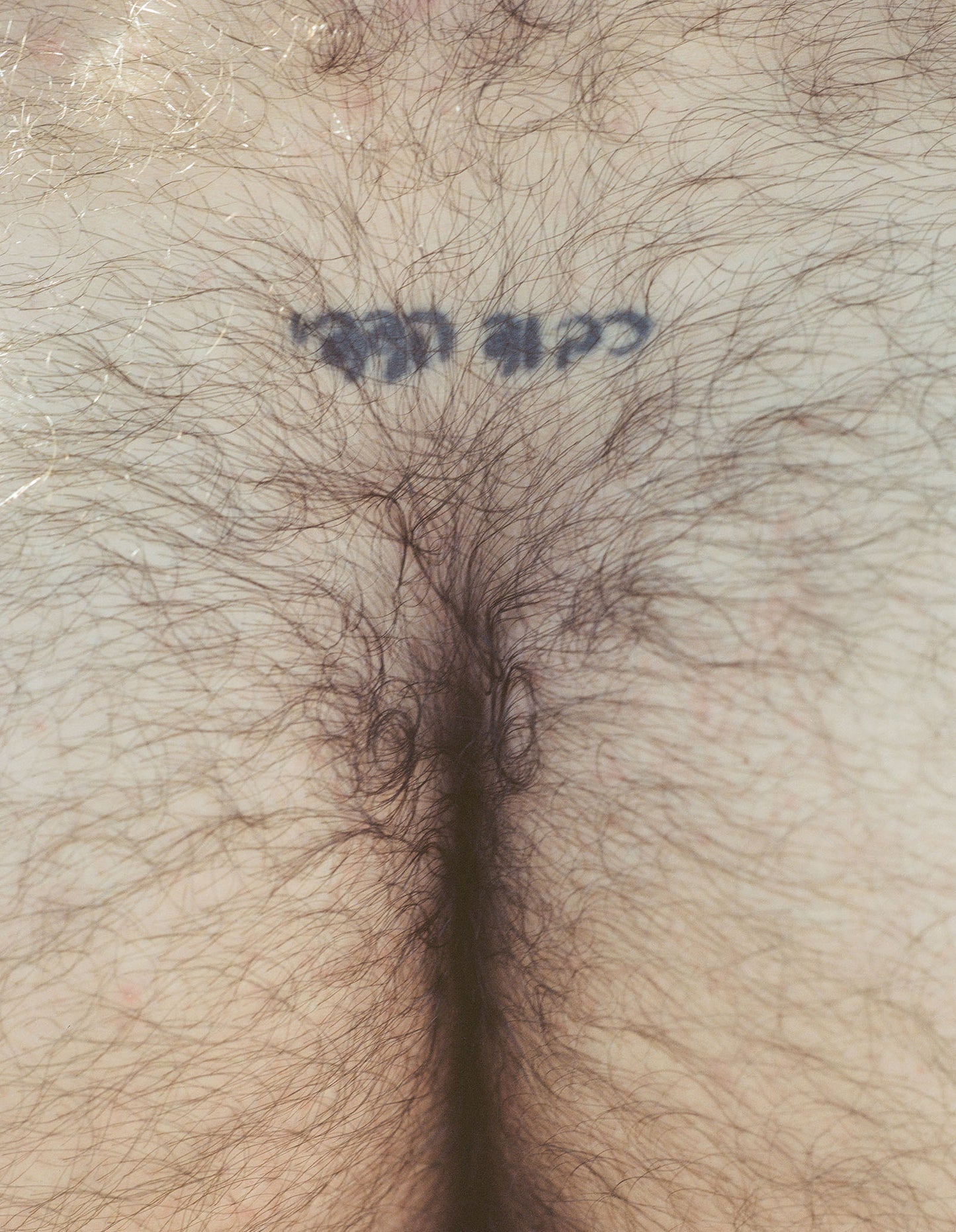 כבוד הדדי (Mutual Respect)